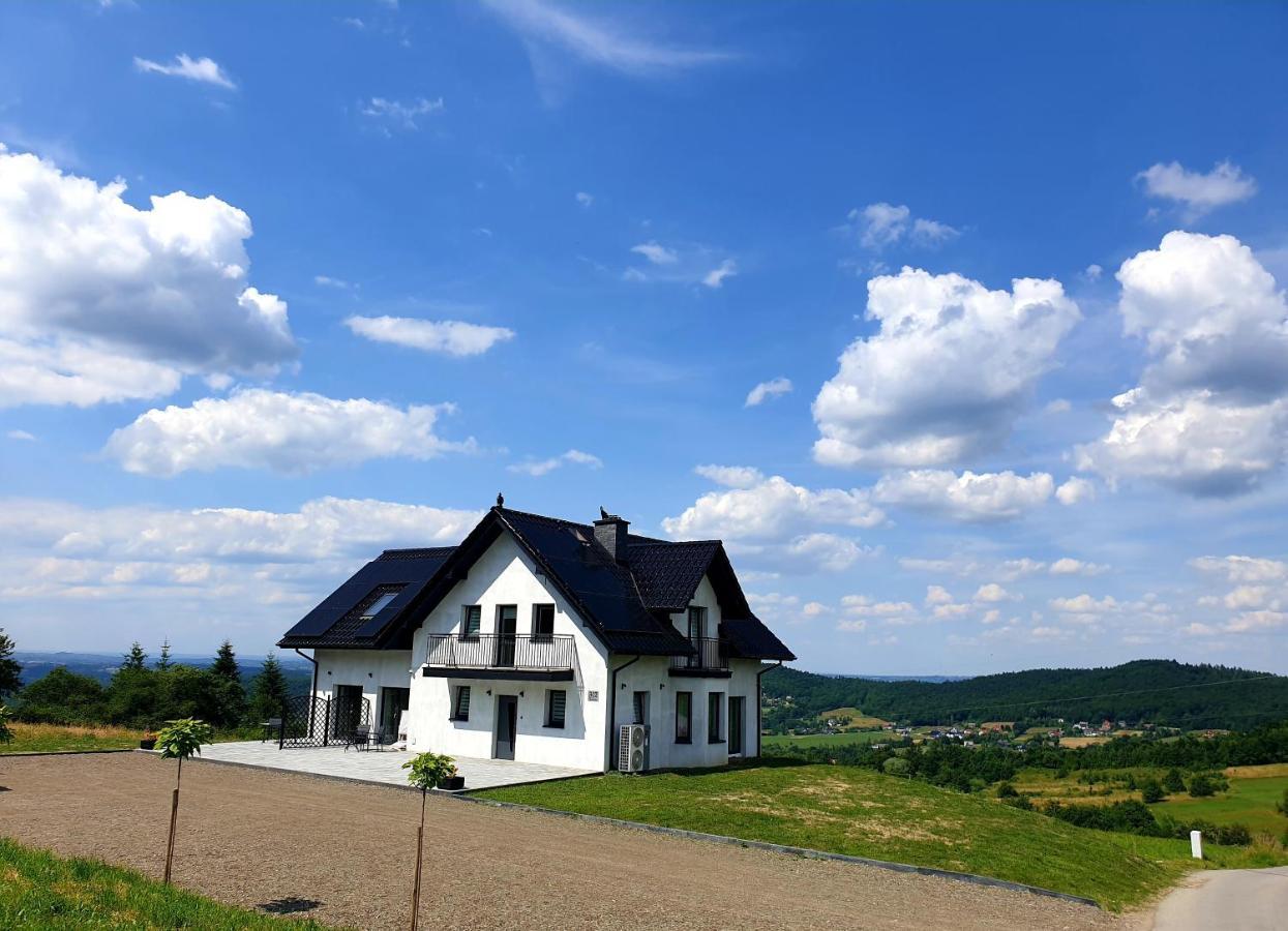 Zasankowe Wzgorzeヴィラ エクステリア 写真